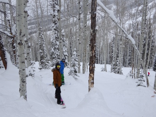 Aspen glade Aspen glade, Steamboat