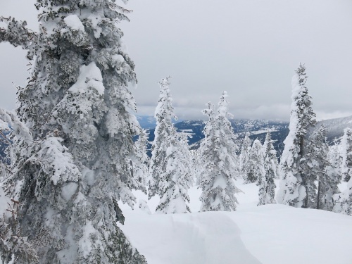 Schweitzer Mountain Resort