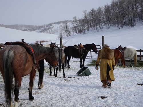 At the ranch Del's Triangle 3 Ranch, Clark near Steamboat