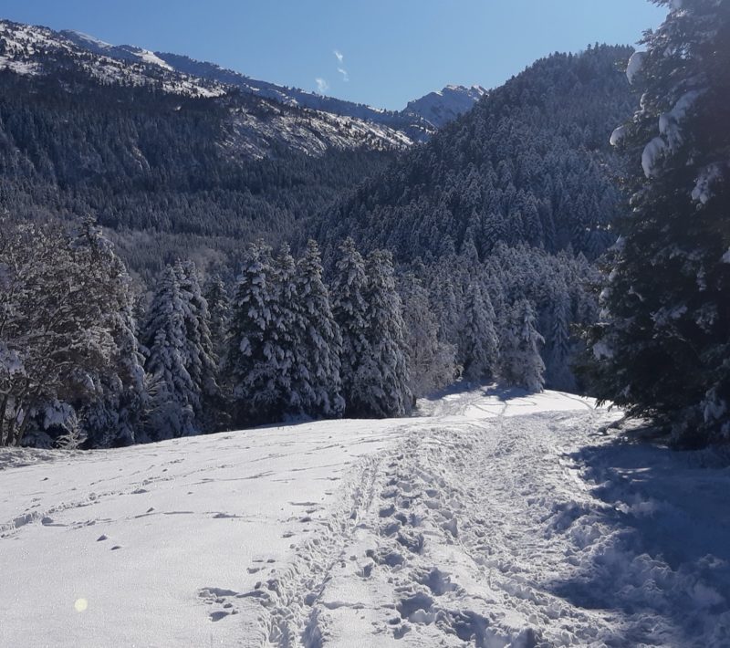 Vercors, France