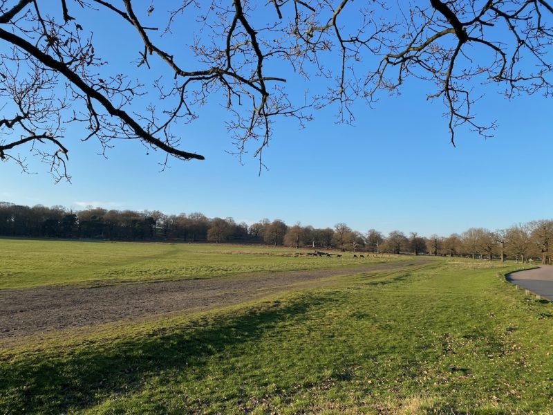 Richmond Park, London