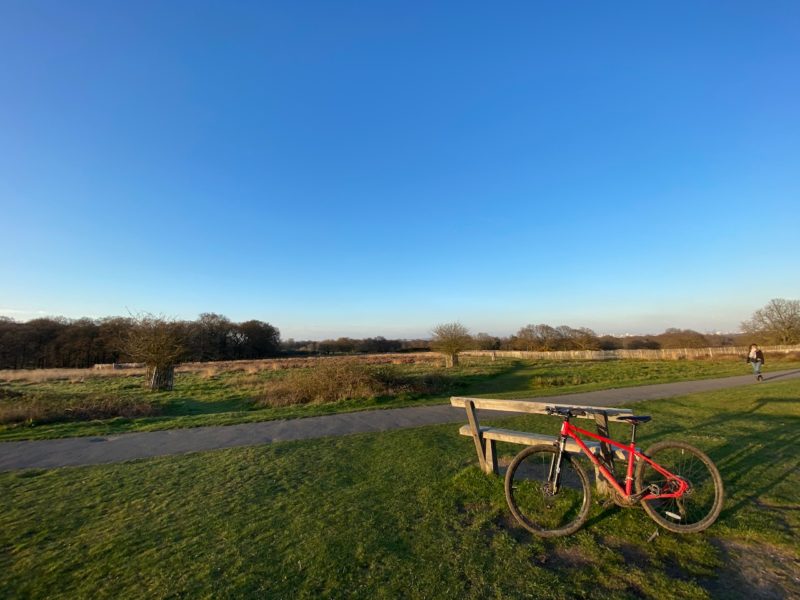 Richmond Park, London