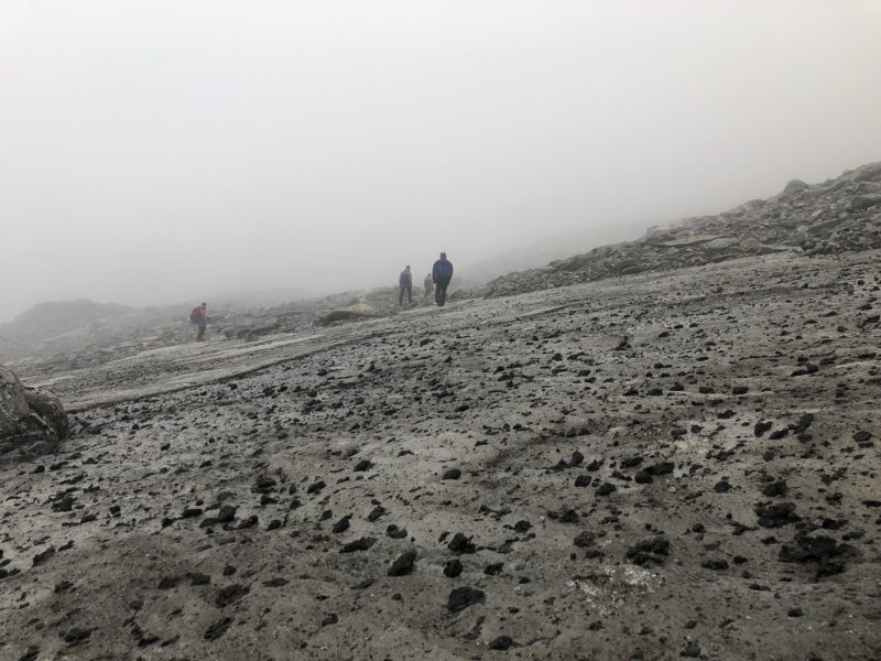 Norway glacier melt - horse dung covers Lendbreen after the melt in autumn 2019 - photo Epsen Finstad