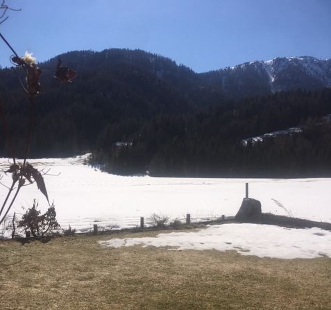 View from Lindsey Cairns' home in the Tirol coronavirus lockdown 