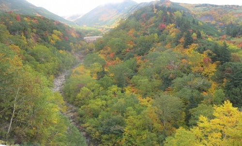 Furano, Hokkaido, Japan