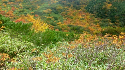 Furano, Hokkaido, Japan