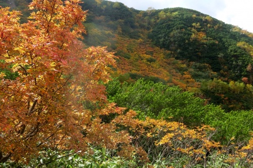 Furano, Hokkaido, Japan