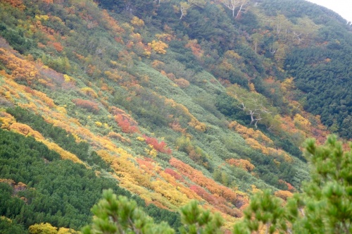 Furano, Hokkaido, Japan