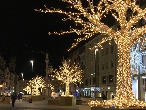 Trees decorated with gold lights on Maria-Theresien Straße