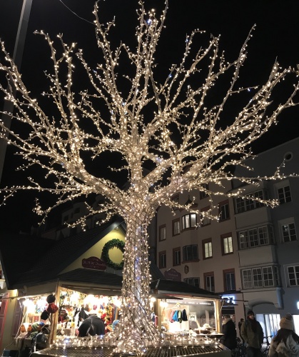 Trees decorated with gold lights on Maria-Theresien Straße