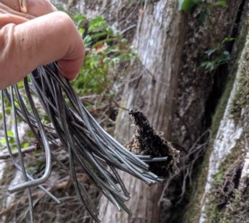 Main haul rope of sabotaged gondola