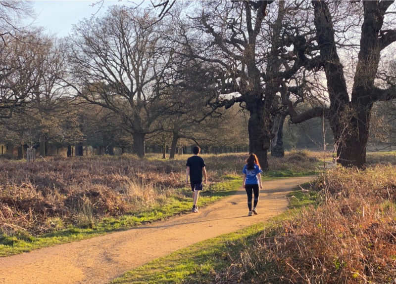 Richmond Park, London